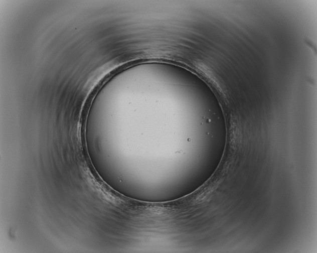 X0000103460932200809191808