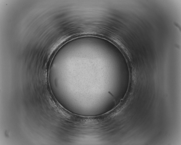 X0000103460933200809191808