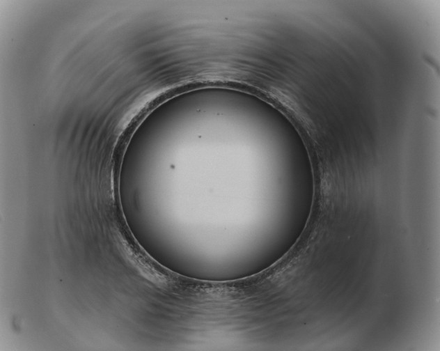 X0000103460934200809191808