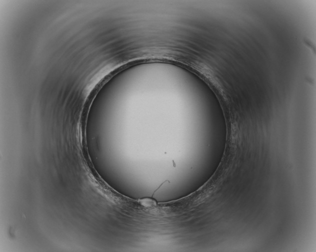 X0000103460936200809191808