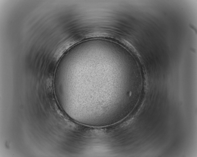 X0000103460937200809191808