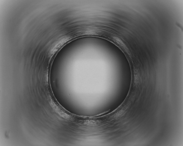 X0000103460938200809191808