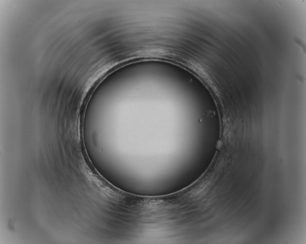 X0000103460939200809191808
