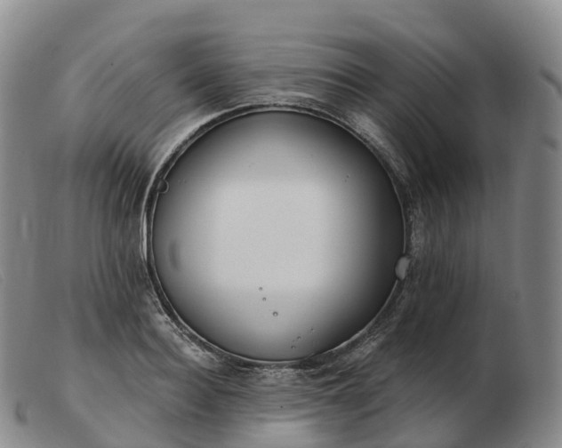 X0000103460940200809191808