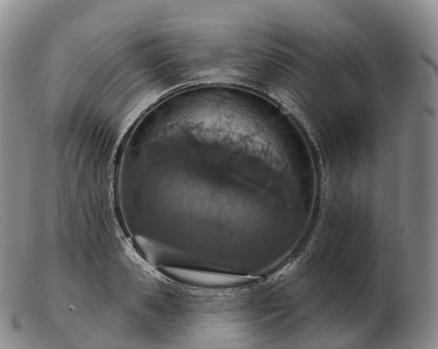 X0000103460941200809191808