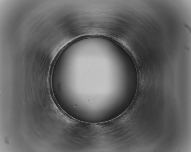 X0000103460943200809191808
