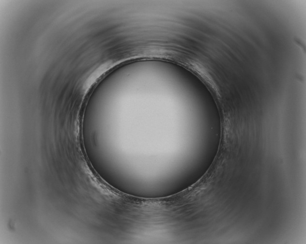 X0000103460944200809191808