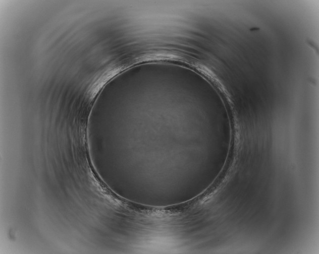 X0000103460945200809191808
