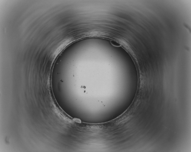 X0000103460946200809191808