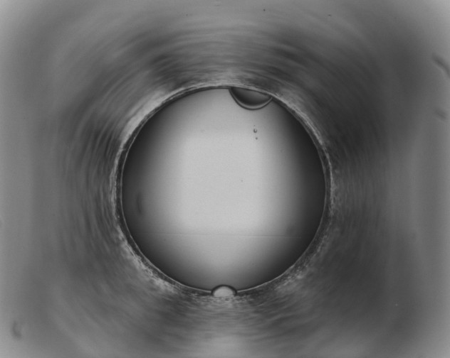 X0000103460949200809191808