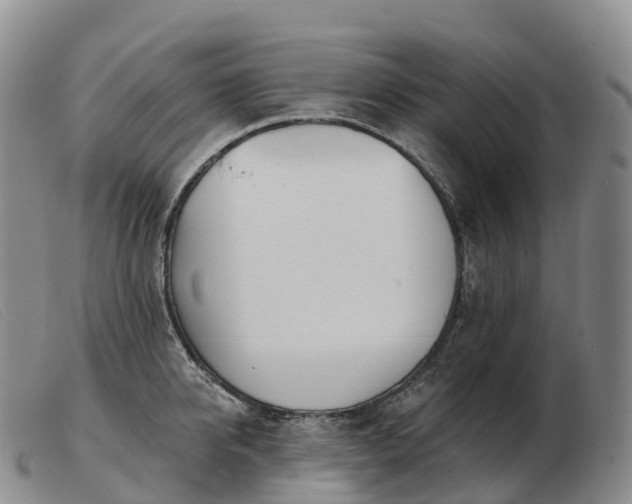 X0000103460950200809191808