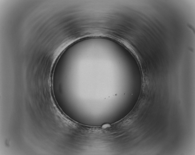 X0000103460951200809191808