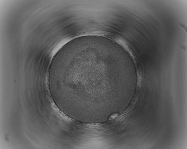 X0000103460952200809191808