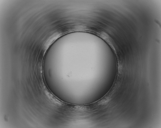 X0000103460954200809191808