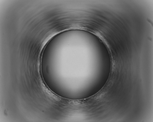 X0000103460955200809191808