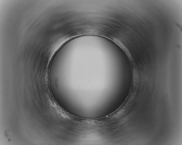 X0000103460956200809191808