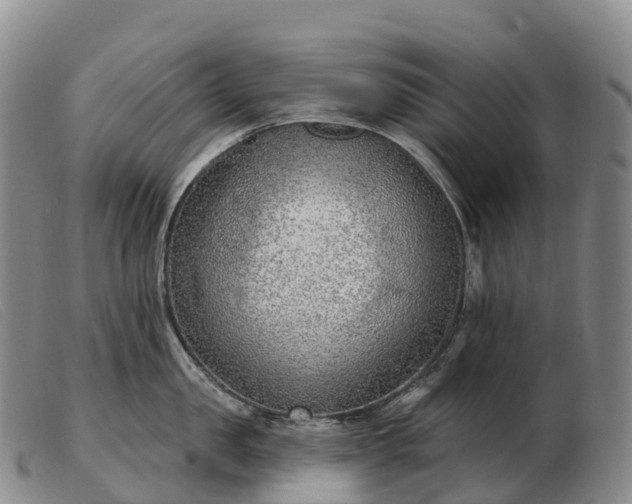 X0000103460957200809191808