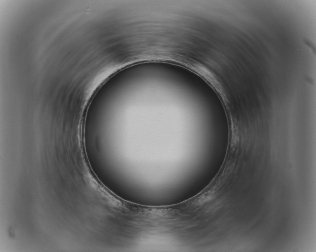 X0000103460958200809191808