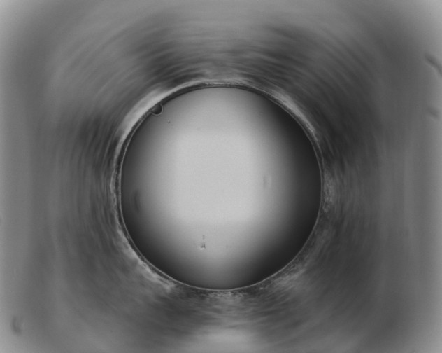X0000103460959200809191809