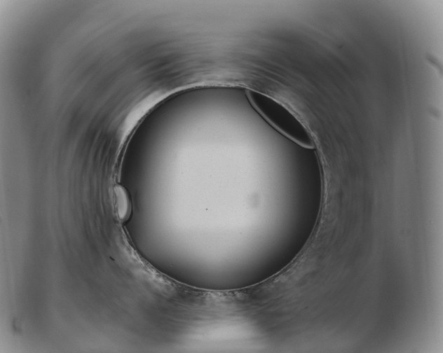 X0000103460960200809191809