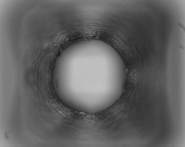 X0000103460961200809191808