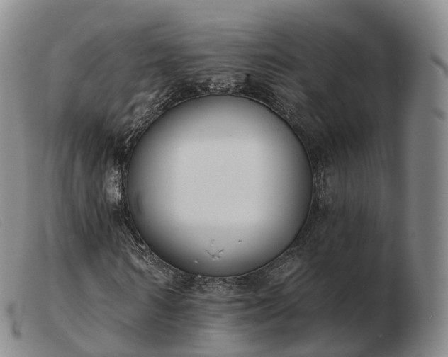 X0000103460962200809191808