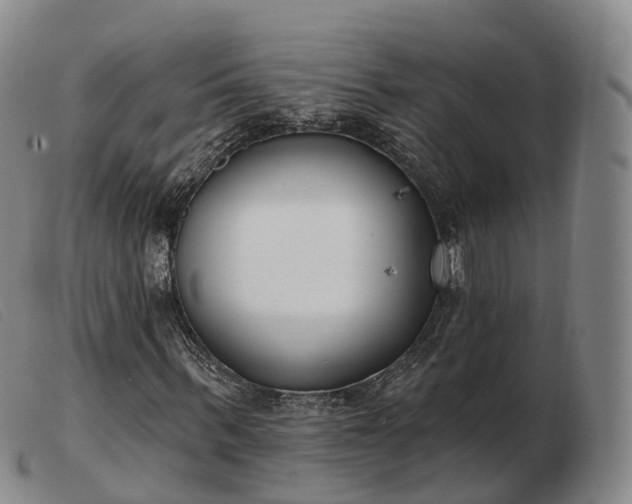 X0000103460963200809191808