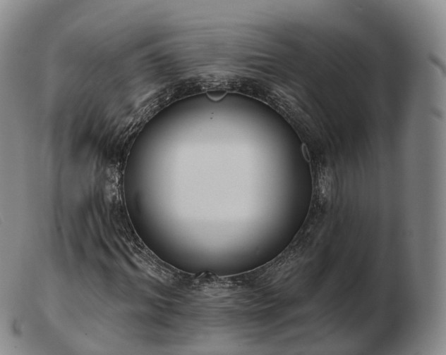 X0000103460964200809191808