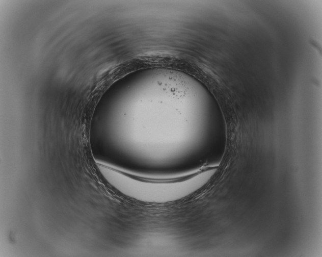 X0000103460965200809191808