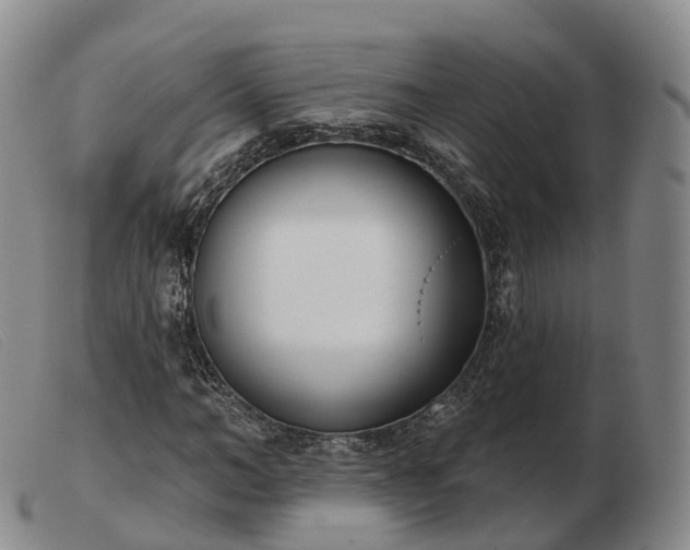 X0000103460966200809191808