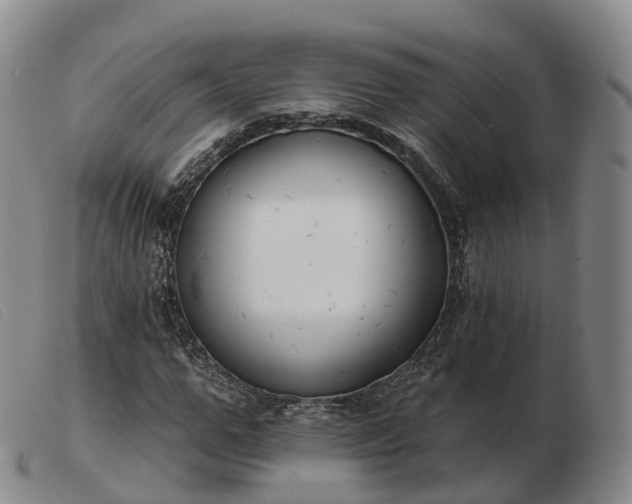 X0000103460967200809191808