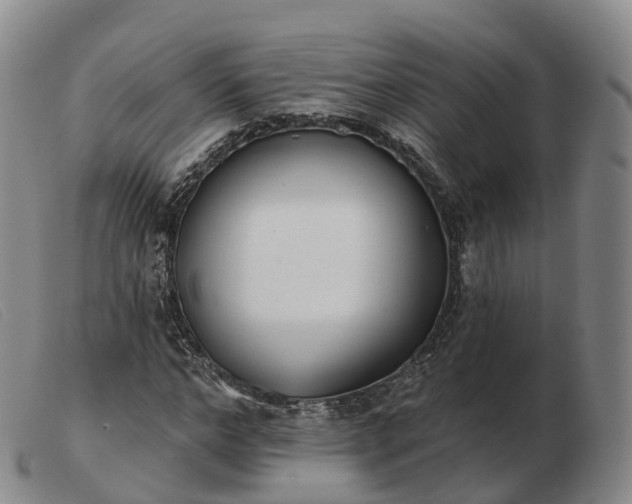 X0000103460968200809191808