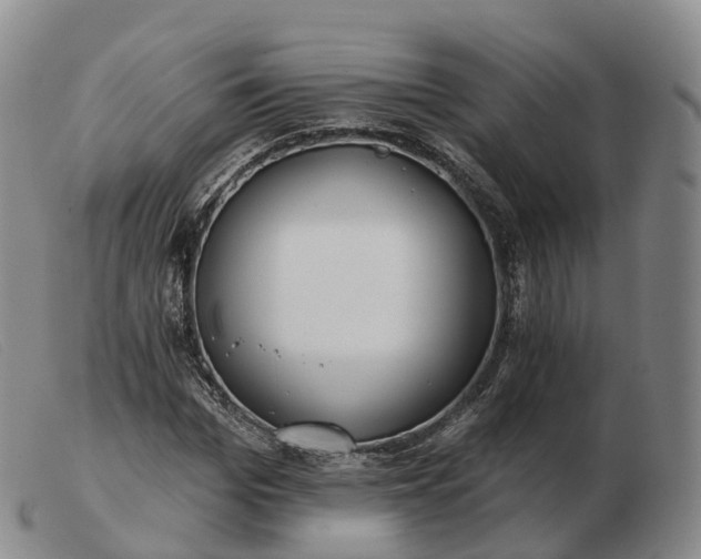 X0000103460969200809191808