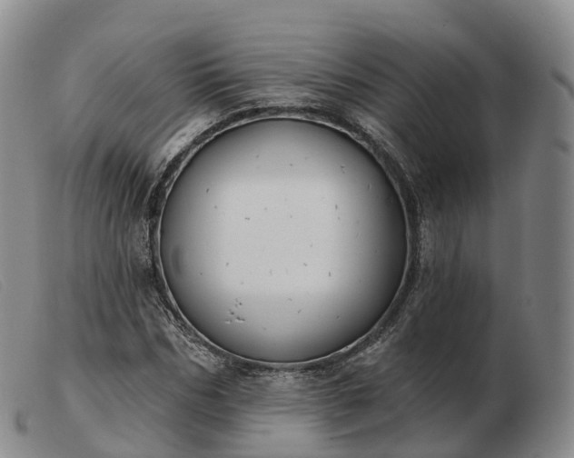X0000103460970200809191808