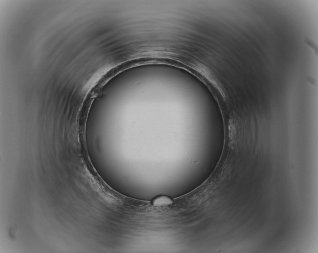 X0000103460972200809191808