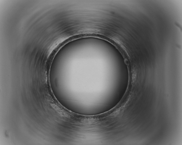 X0000103460973200809191808