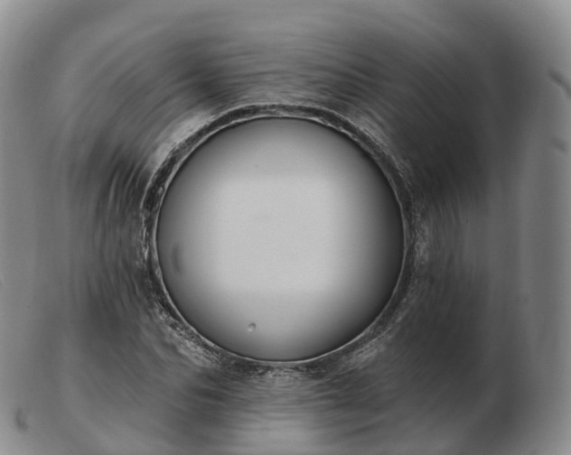 X0000103460974200809191808