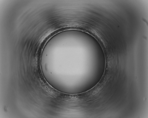 X0000103460975200809191808