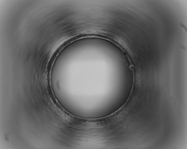 X0000103460976200809191808