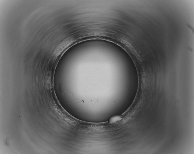 X0000103460977200809191808