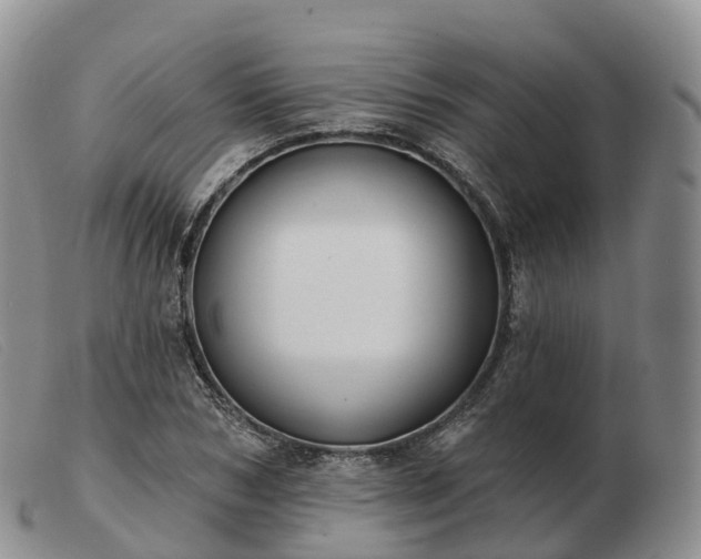 X0000103460978200809191808