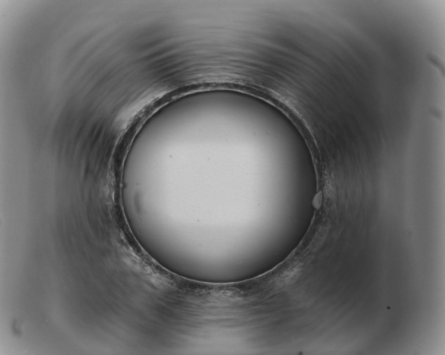 X0000103460979200809191808