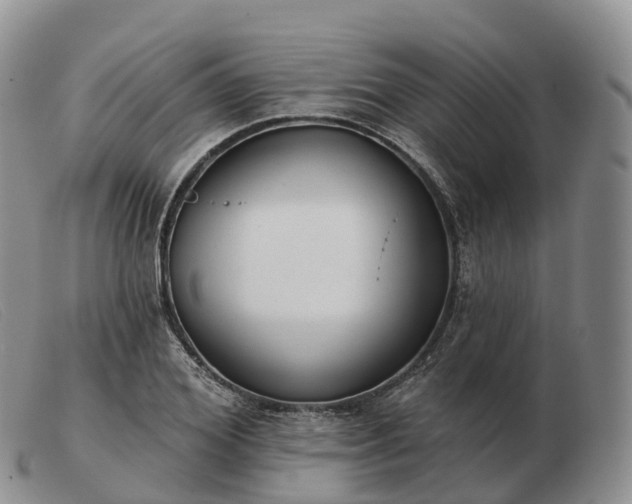 X0000103460980200809191808