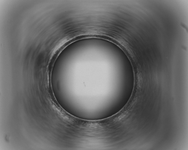 X0000103460982200809191808