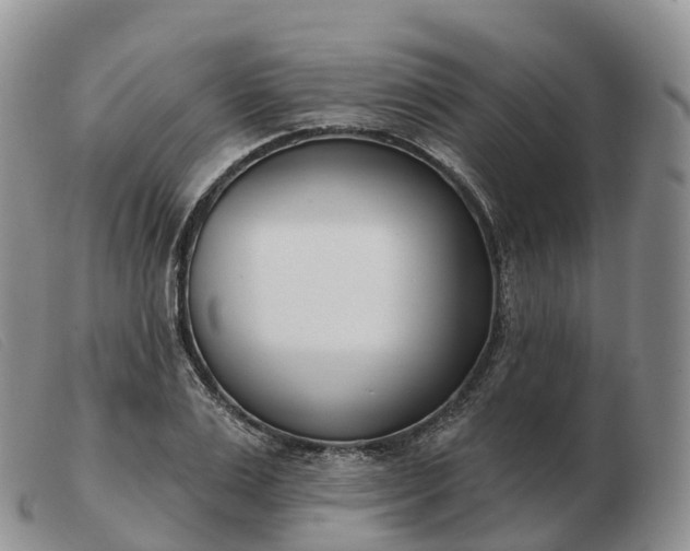 X0000103460983200809191808