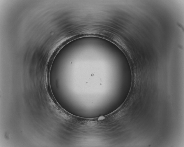 X0000103460984200809191808