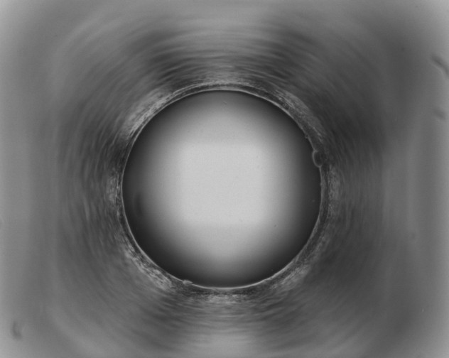 X0000103460985200809191808