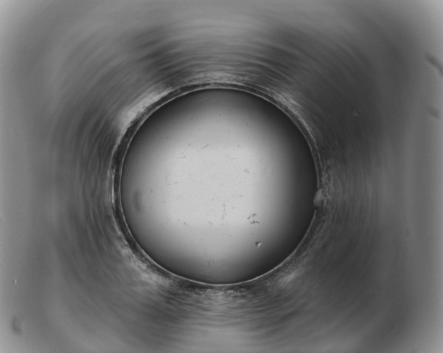 X0000103460987200809191808
