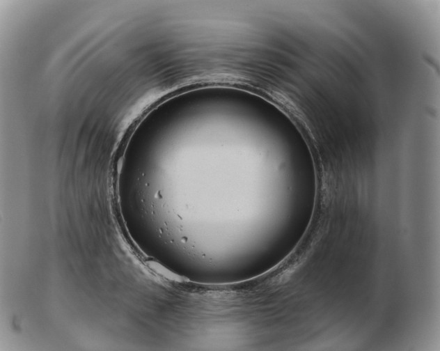 X0000103460989200809191807