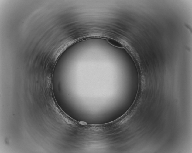 X0000103460993200809191807